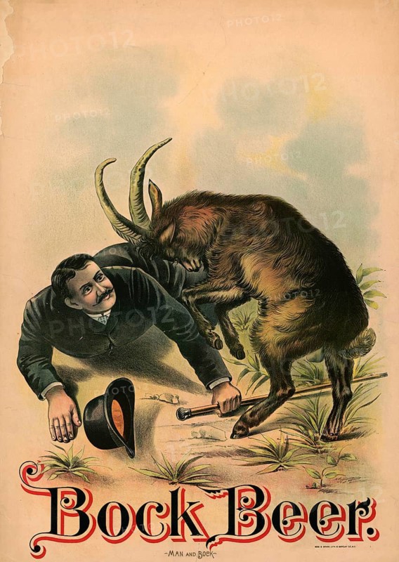 Advertising poster, beverage advertisement, advertising poster for bock beer with the title Man and buck from 1894. The lithograph was created by the company Rode & Brand in New York. The poster shows a humorous scene in which a buck attacks a man with a walking stick, authentic reproduction of a historical advertising poster, advertising sign, in high resolution