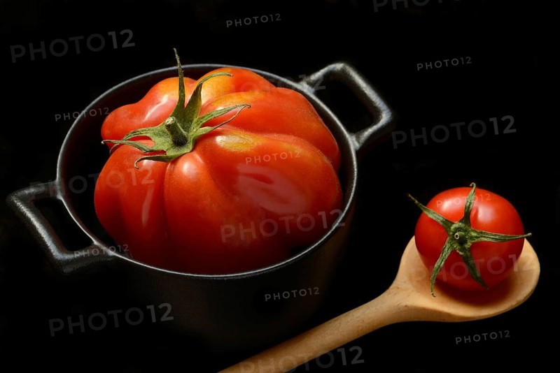 Oxheart tomato in pot, Solanum lycopersicum