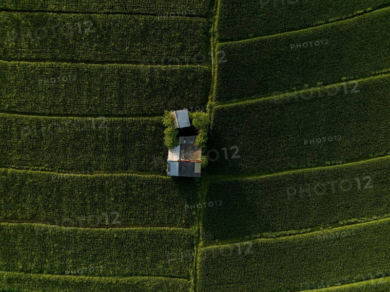 Aerial view looking down at a hut surrounded by rice paddies, Mount Agung, Bali, Indonesia