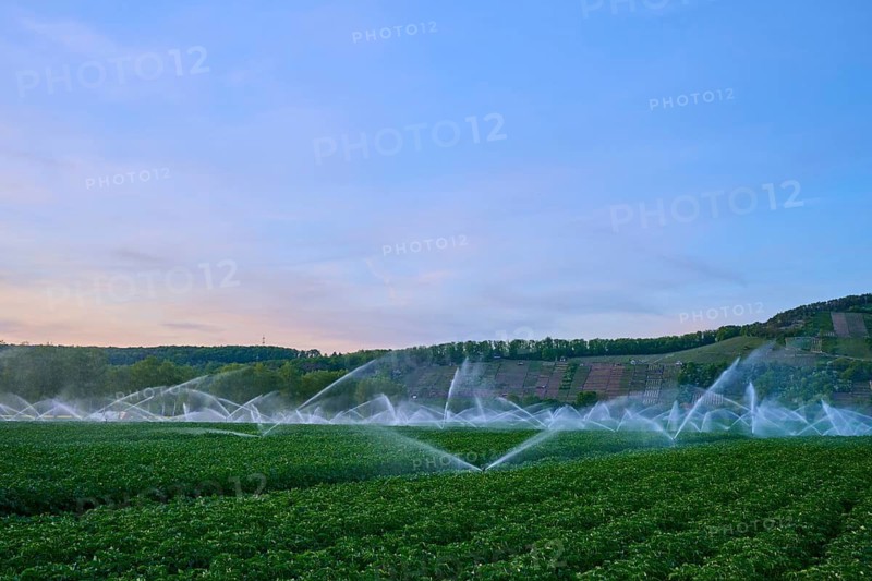 Irrigation systems work under a blue evening sky on vast fields, Karlburg, Karlstadt, Main-Spessart, Mainfranken, Lower Franconia, Bavaria, Germany
