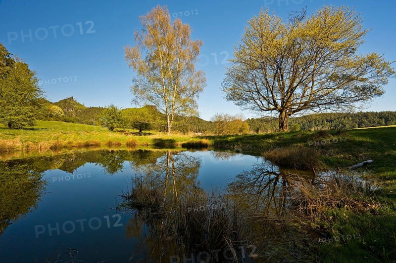 A small pond with a view of Mariina skála (Marienfels), a 428-metre-high rocky peak in the Bohemian Switzerland National Park, Jetrichovice, Czech Republic