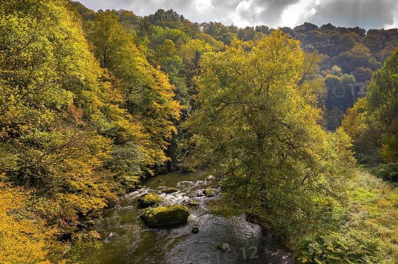 Germany, Greiz, Saxony, Weiße Elster, aerial view, autumn, Elstertal, autumn, landscape, aerial view, nature reserve, Steinicht, Vogtland