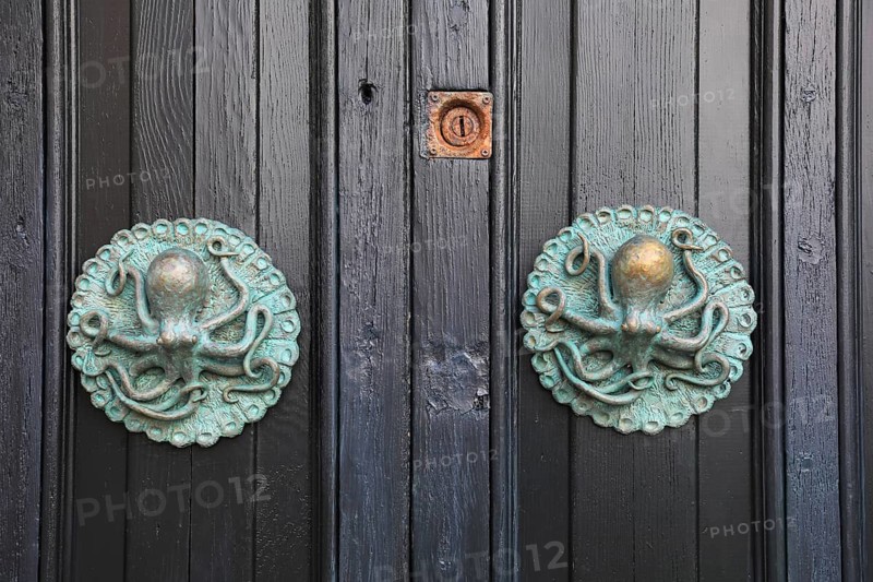 Octopus as door decoration to the legend of a pirate attack by the Saracens in which an octopus is said to have warned the inhabitants. Tellaro, village in the municipality of Lerici and belongs to the association I borghi piu belli d'Italia, The Most Beautiful Towns in Italy, Province of La Spezia, Liguria, Italy