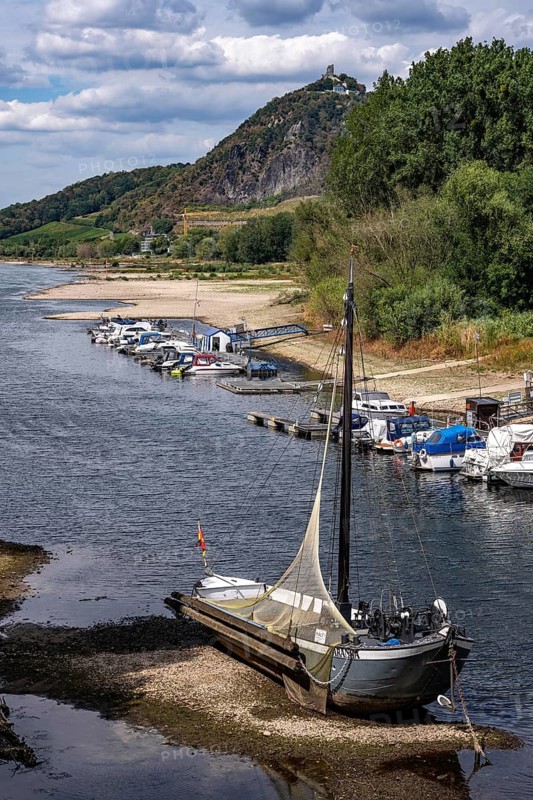 Low tide in the Rhine, historic Aalschokker Aranka is dry, on the island of Grafenwerth, on a dead branch of the Rhine, Drachenfels, large sandbanks, hardly any shipping traffic, freighters may only sail with significantly reduced load and reduced speed, North Rhine-Westphalia, Germany