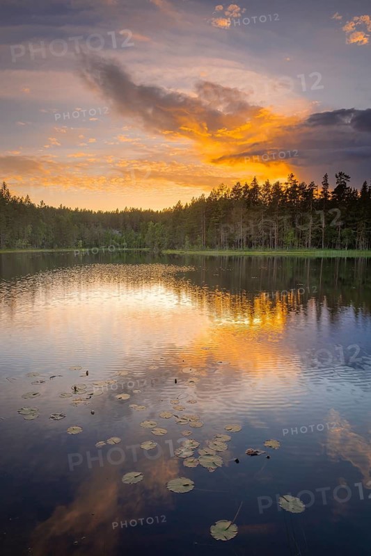 View of Lake Ongeltjørn at sunset, Telemark, Norway