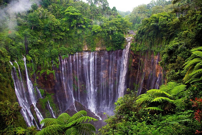 An impressive waterfall cascades over a steep cliff surrounded by dense tropical forest, views of cascading waterfalls surrounded by lush green forests, an impressive spectacle of natural beauty, the Tumpak Sewu Waterfall, East Java, Indonesia