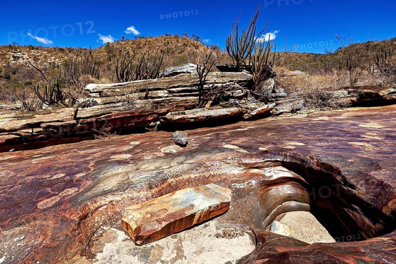 Rocky landscape with cacti and rocks under clear blue sky, the thornshrub savanna in the Caatinga countryside in the federal states of Pernambuco and Bahia in Brazil
