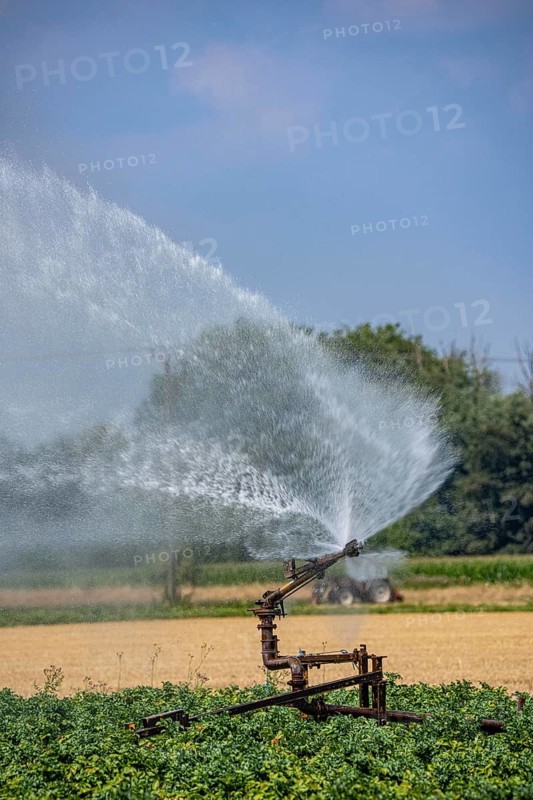 Artificial irrigation of a potato field with an irrigation system, long drought in summer makes this necessary to secure the harvest, north of Kalkar, Lower Rhine, North Rhine-Westphalia, Germany