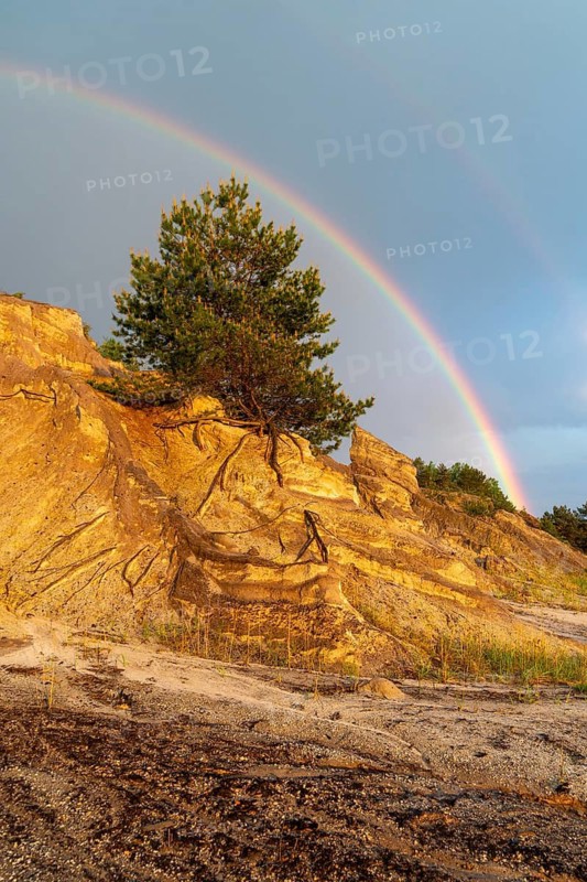 2023, Brandenburg, Germany, Mainzer Land, Nabu, Nabu Project, national natural heritage, Grünhaus natural paradise, post-mining landscape, Grünhaus, high size, portrait format, rainbow, rainbow