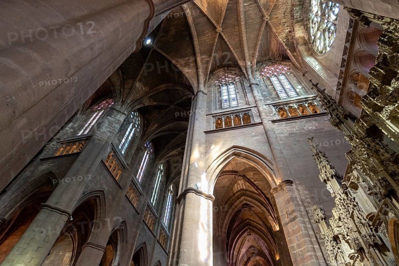 Rodez. Gothic Notre-Dame Cathedral. Aveyron. Occitanie. France