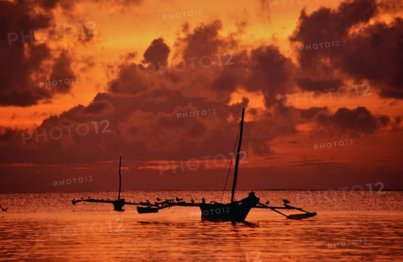 Two traditional wooden boats lie in the calm water off Diani Beach during an intense sunrise. The sky glows in warm shades of orange and red, dark clouds accentuate the scenery, and several birds sit on the boats and their outriggers, adding liveliness to the atmospheric coastal scene, Diani Beach, Kenya