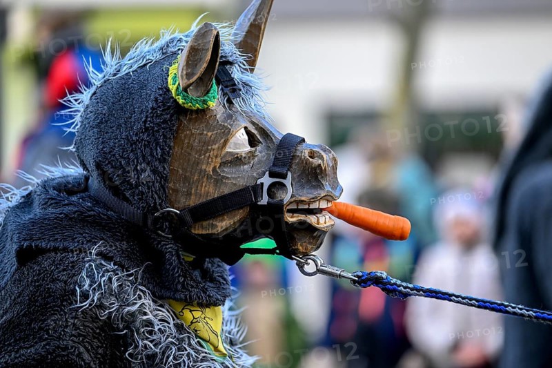 Member of a fools' guild in traditional Haes, fools' clothes, during the carnival procession in Achern, Ortenaukreis, Baden-Württemberg, Germany