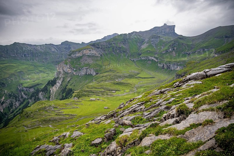 Alpine pastures and alpine meadows on Kienboden, green mountains, Bernese Alps, Bernese Oberland, Switzerland