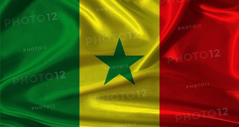 National flag of Senegal with cloth texture. Senegal flag with realistic texture background
