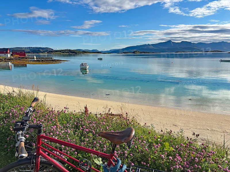 A red bicycle is parked on a flower-lined beach with views of the blue water and distant mountains, Sommaroy, Sommarøy, Troms, Norway