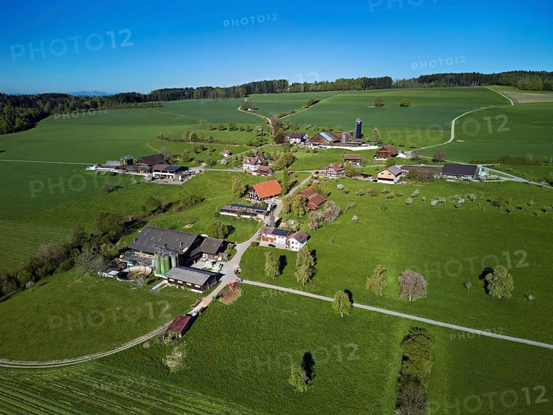 Farms in the hamlet of Holderstock, Sins, Freiamt, Canton of Aargau, Switzerland