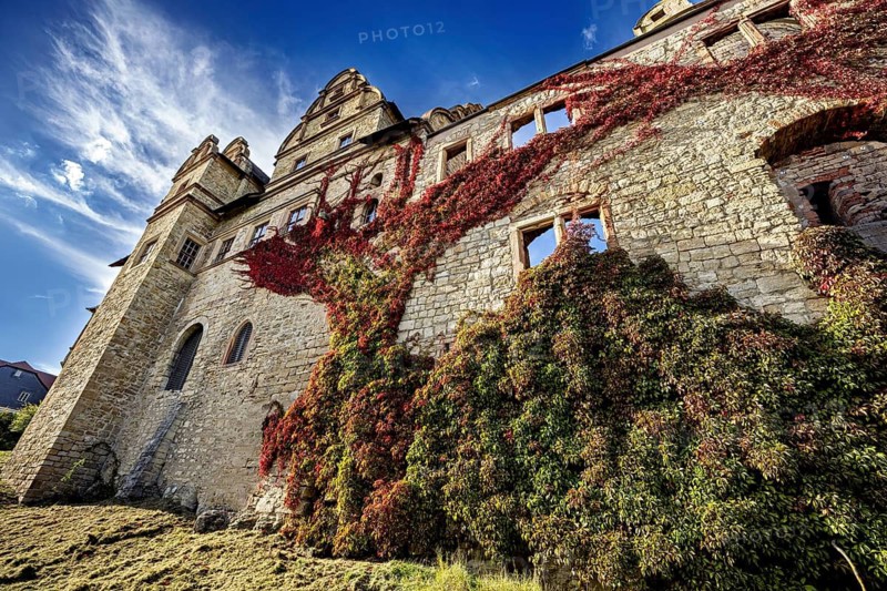 Side view of a castle covered in colored ivy and lying under a blue sky, The Upper Castle of Kranichfeld in Thuringia