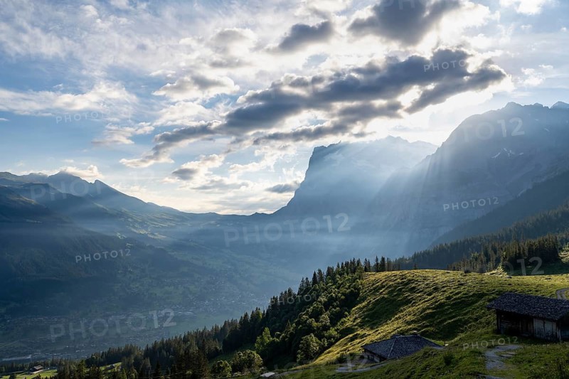 Morning atmosphere with sunshine, mountain huts, alpine meadows, alpigles, Wetterhorn peaks behind, Grindelwald, Bernese Oberland, Switzerland