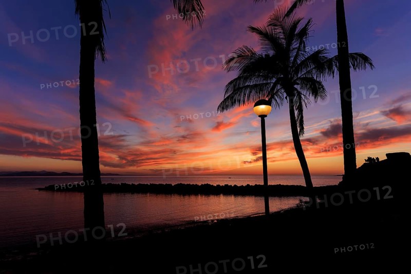 Lanzarote, Canary Islands, Spain, Europe, Playa Blanca, palm trees and a glowing lantern in front of an impressive sunset on the water