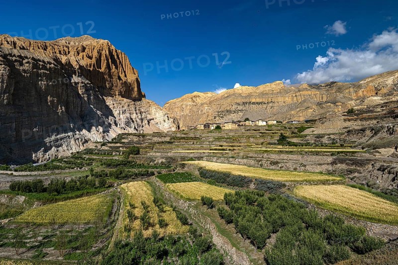 Settlement, small village with terraced fields, near Chhusang in the Kali Gandaki river valley, Mustang, former kingdom, Himalayas, Nepal
