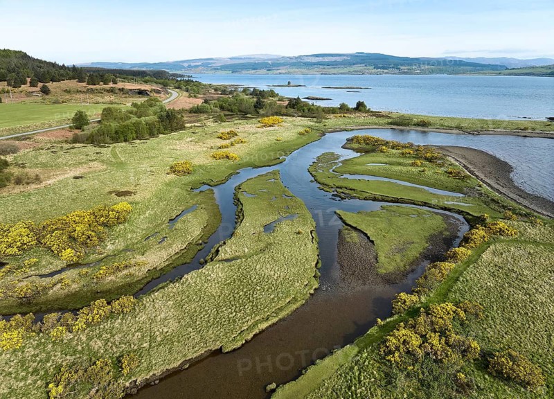 Drone photo of a river estuary with blooming gorse on the, Tobermory, Isle of Mull, Scotland, UK