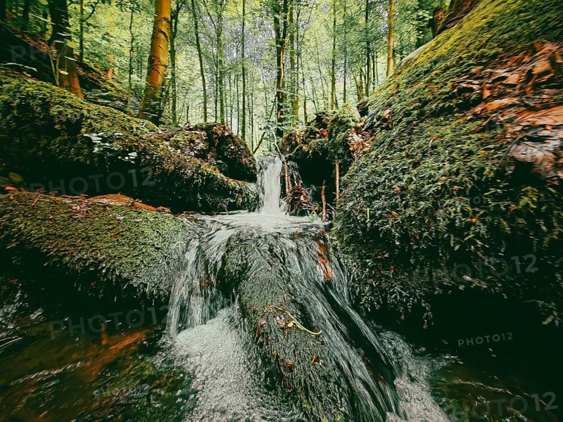 A small waterfall on the Werre stream flows through a moss-covered green forest, quiet, melancholy atmosphere, atmospheric, hiking in the Schwarza Valley nature reserve, Thuringian Highlands, Thuringian Forest nature park Park