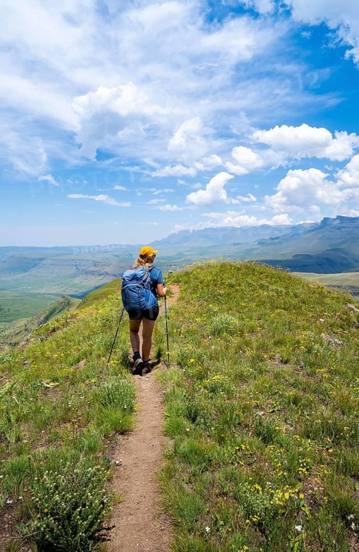 Female hiker on the hiking trail to Cathedral Peak, Green Mountains and Hills, Drakensberg Mountains, KwaZulu-Natal, South Africa