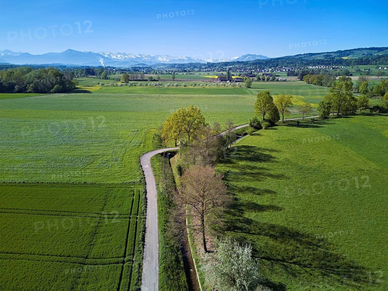 Meadows and fields, in the background the snow-covered Alps and the Rigi and Pilatus, Merenschwand, Reusstal, Freiamt, Canton of Aargau, Switzerland