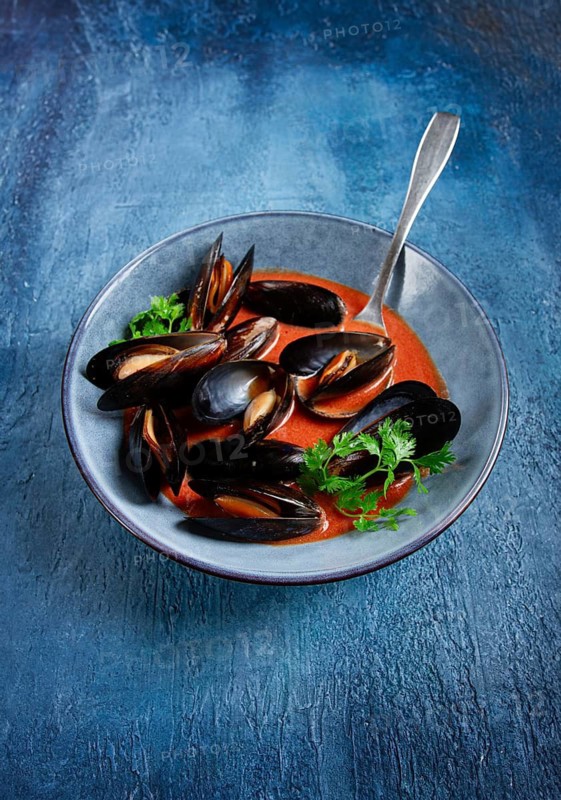 Fra Diavolo mussels, mussels in tomato sauce, Italian dish, on a blue background, homemade, no people