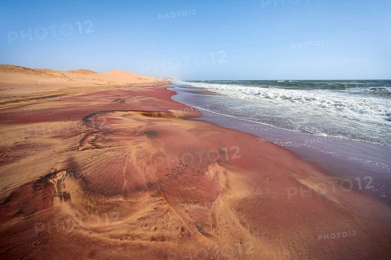 Sandy beach beach with pink sand, Atlantic coast in the Namib Desert, Sandwich Harbour, Namib Naukluft Park, Namib Desert, Namibia