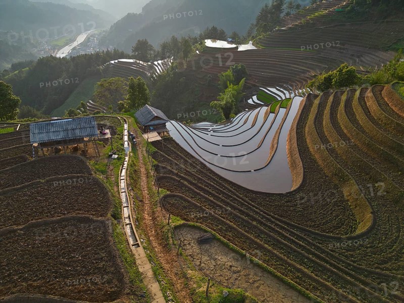 Aerial view of rice terraces setting new fresh green rice, new fresh green rice seedlings at Mù Cang Ch?i, Mu Cang Chai District, Lào Cai Province, North Vietnam, Vietnam