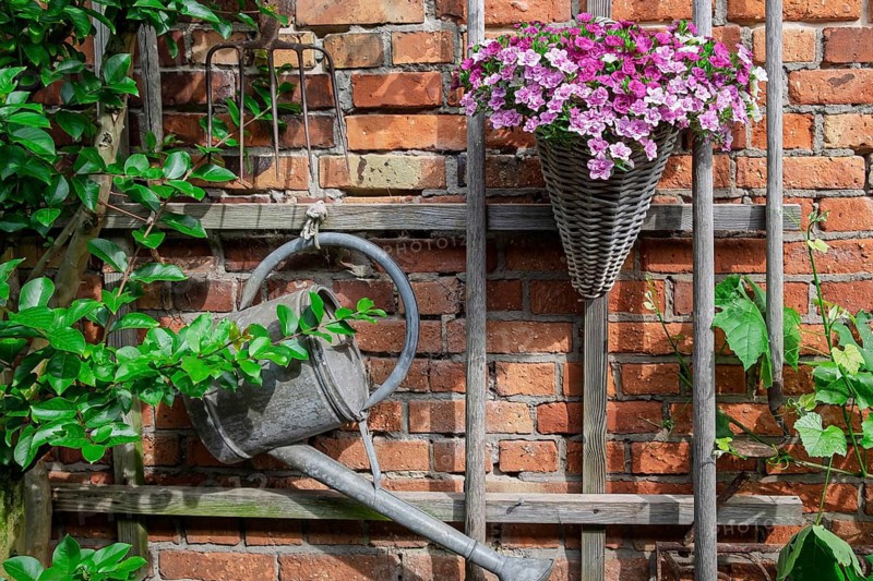 Brick wall with a hanging watering can and a flower basket containing ‘magic bells' (Calibrachoa), garden scene, Germany