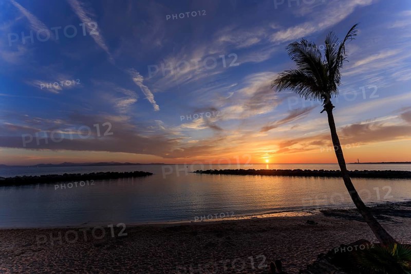 Lanzarote, Canary Islands, Spain, Europe, Playa Blanca, Tropical sunset with a palm tree and dramatic clouds in the sky