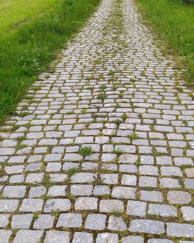 Grout, paving path, stone paving, paved path, high size, portrait format, path