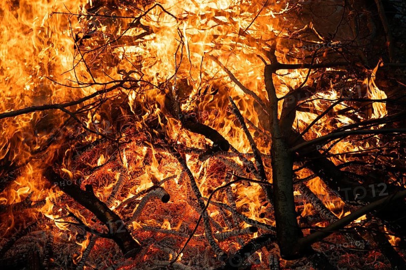 Thick branches burn with blazing flames, Finland