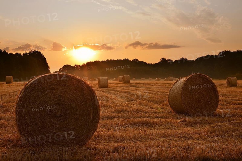 Straw bales on a stubble field at sunrise, Hamm, North Rhine-Westphalia, Germany