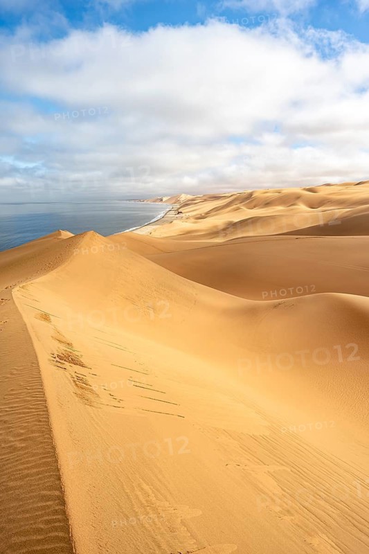 Sand dunes and sea, Atlantic coast and sandy desert with sea of dunes, Sandwich Harbour, Namib Naukluft Park, Namib Desert, Namibia