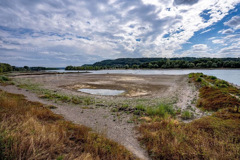 Low tide in the Rhine, sandbanks, on the right bank of the Rhine near Bad Honnef, hardly any shipping traffic, freighters may only sail with significantly reduced load and reduced speed, North Rhine-Westphalia, Germany
