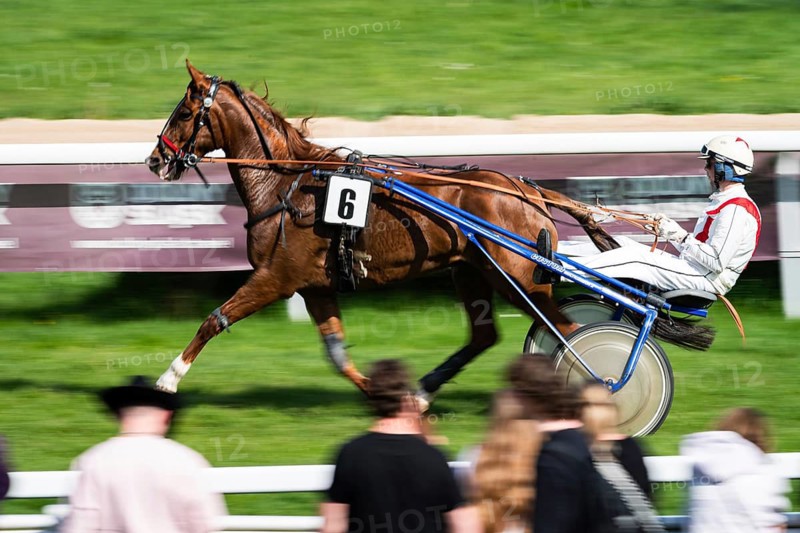 WROCLAW, POLAND - MAY 10, 2026: Horse race track WTWK Partynice. International race for 3-year-old and older French Trotters - Sulki. Horse number 6 pulling a sulky with driver harness racing scene on the track