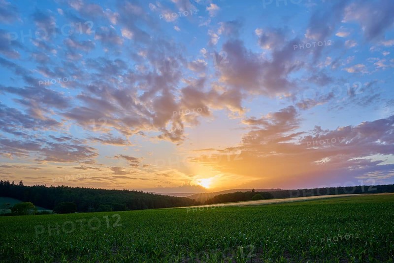 A lively sunset with intense shades of orange and blue over a green field, clouds arranged in dramatic patterns, summer, Großheubach, Miltenberg, Spessart, Bavaria, Germany