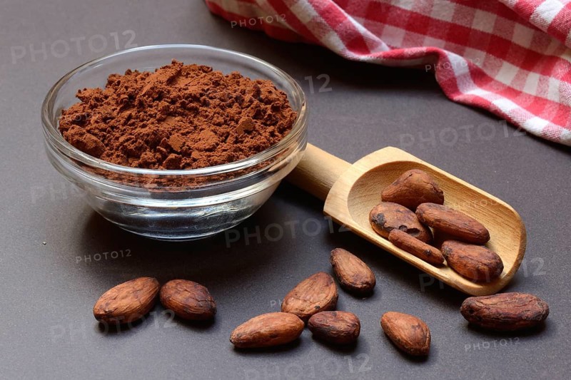 Cocoa powder in glass shell and cocoa beans