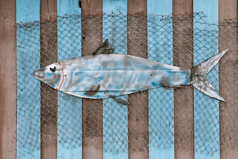 Fish as wall decoration on the French Atlantic coast