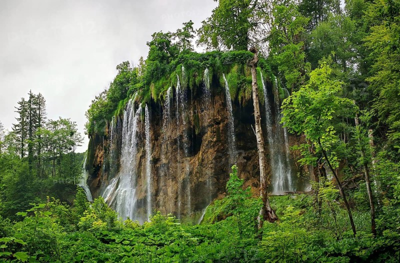 High waterfall flows over a rock wall surrounded by thick, green vegetation, Plitvice Lakes National Park, Croatia