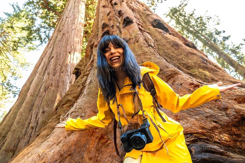 Happy young woman tourist wearing a bright yellow raincoat and carrying a camera, smiling and gesturing while standing beside an ancient, tall giant sequoia tree in a national park