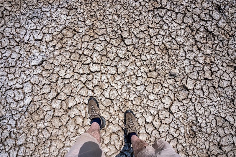 Dried riverbed, brittle floes, extreme low water, Rhine level at 41 cm, downward trend, freighters must sail with reduced load, after the long drought, the left bank of the Rhine falls dry near Düsseldorf Oberkassel, North Rhine-Westphalia, Germany