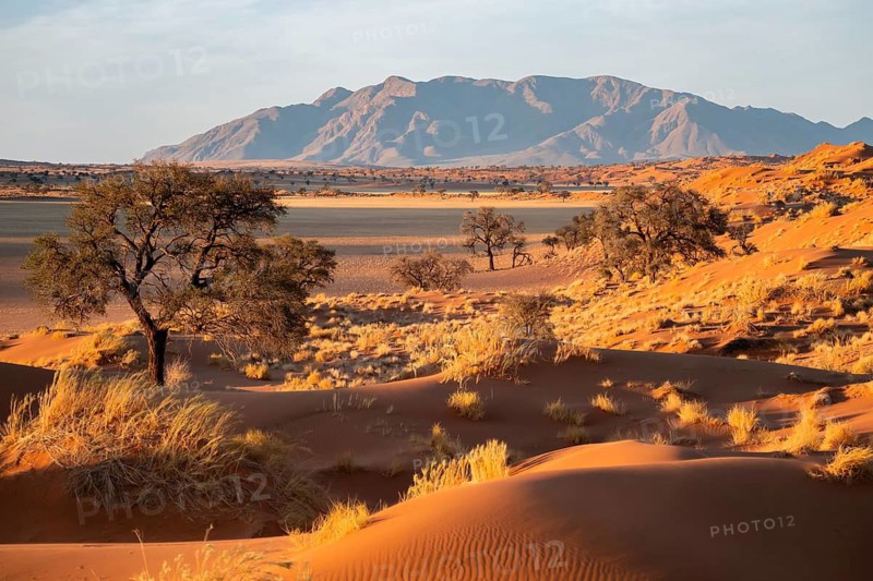 Sand dunes, landscape in the NamibRand nature reserve, in the background Naukluft Mountains, Namib Desert, Namibia