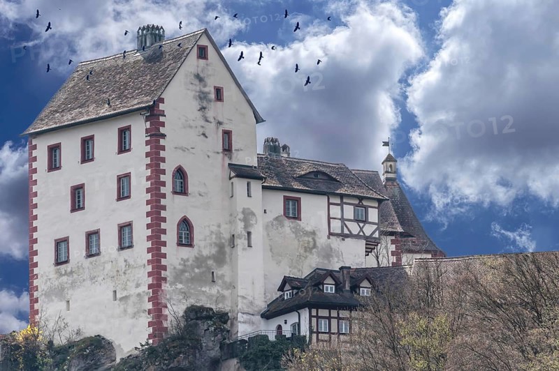 Crows (Corvus corone) above Egloffstein Castle, Egloffstein, Upper Franconia, Bavaria, Germany