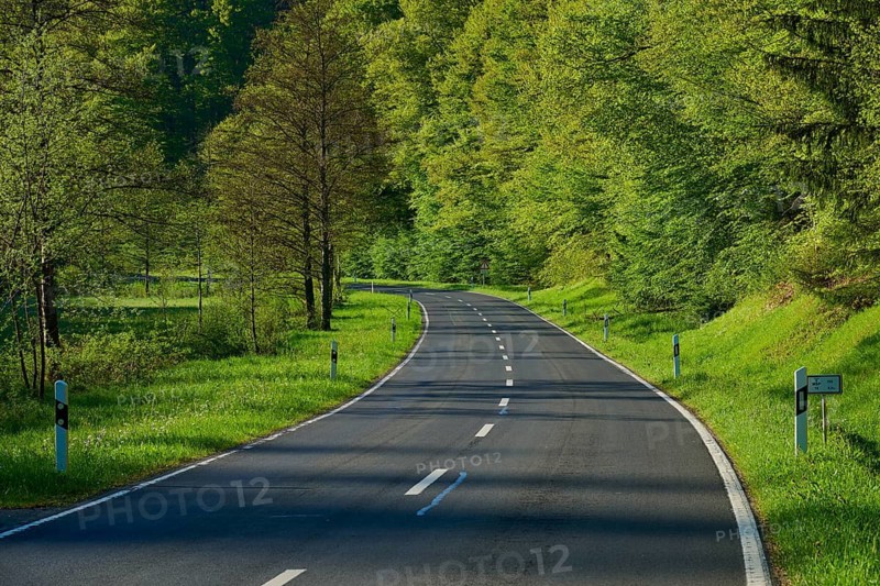 Winding road through a lush, green forest on a summer day, Fellen, Ruppertshütten, Main-Spessart district, Mainfranken, Lower Franconia, Bavaria, Germany