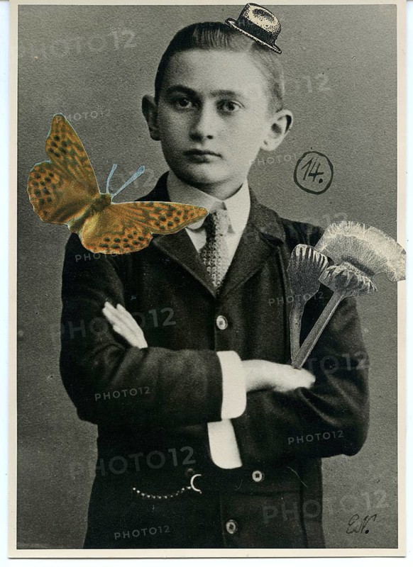 For Else, by Johannes, photo collage, humor, unique, A young boy in a creative photo montage with butterfly and hat, around 1928