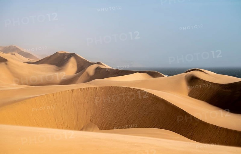 Sand dunes and sea in evening light, wind blowing sand across the dunes, view of the Atlantic coast from high sand dunes, Sandwich Harbour, impressive desert landscape at sunset, Namib Naukluft Park, Namibia